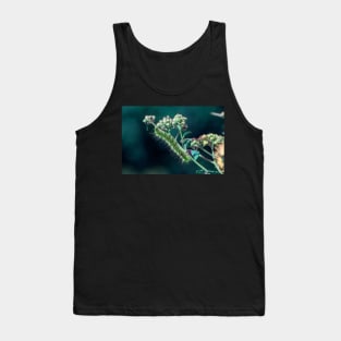 caterpillar Tank Top